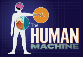 The Human Machine The Human Machine